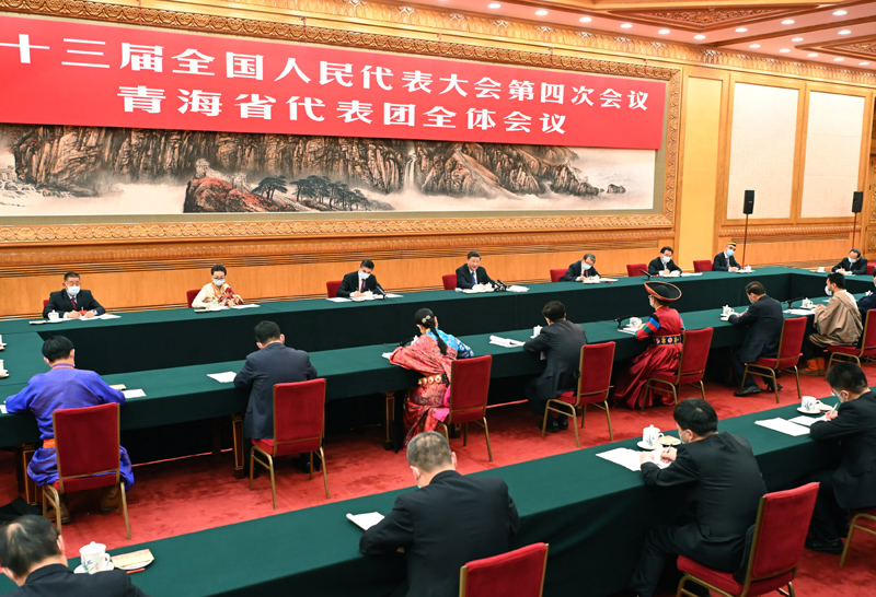 3月7日，中共中央總書記、國家主席、中央軍委主席習近平參加十三屆全國人大四次會議青海代表團的審議。新華社記者 李濤 攝